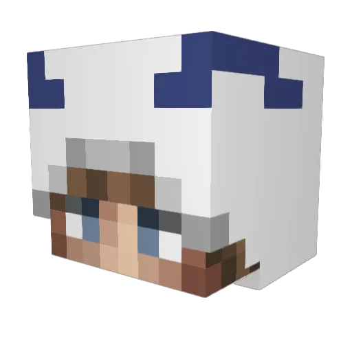 Ninya Minecraft avatar head, 3D render