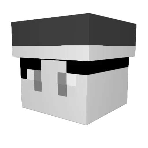 Ninymcake Minecraft avatar head, 3D render