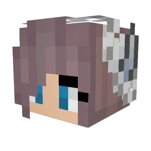 Nio200 Minecraft avatar head, 3D render