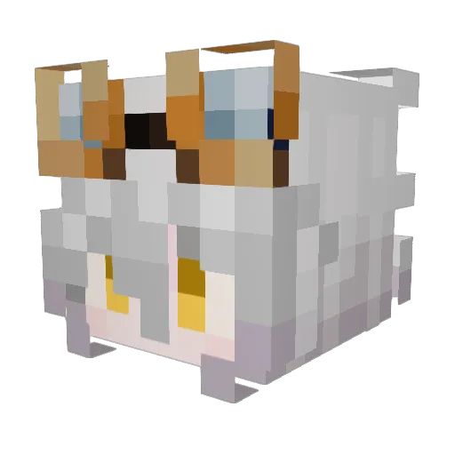 Nio4796 Minecraft avatar head, 3D render