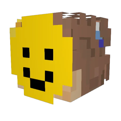 NioNoob Minecraft avatar head, 3D render