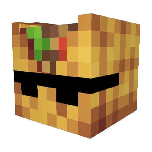 Nion4225 Minecraft avatar head, 3D render