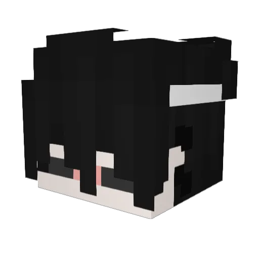 Nioxxxx Minecraft avatar head, 3D render