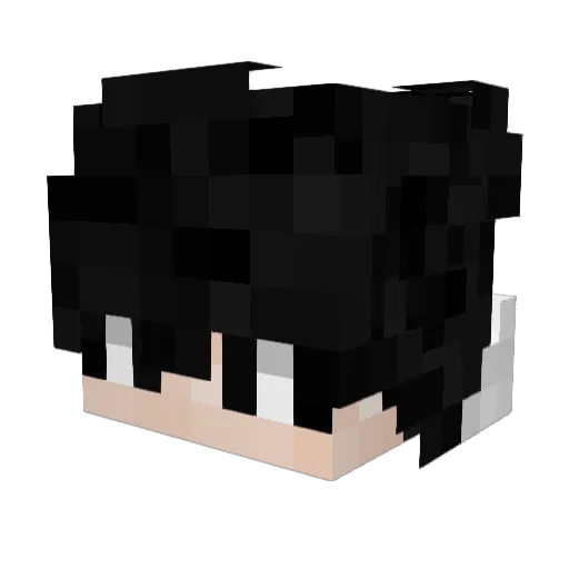 NipSauce Minecraft avatar head, 3D render