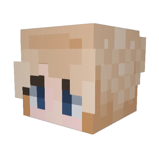 Nipeia Minecraft avatar head, 3D render
