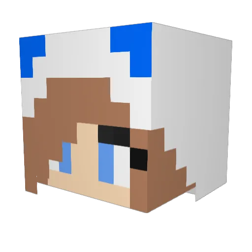 NippelHunterXXX Minecraft avatar head, 3D render
