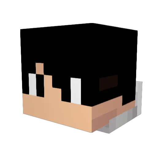NippyCatz Minecraft avatar head, 3D render