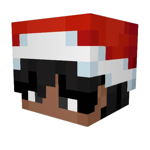 Niro800 Minecraft avatar head, 3D render
