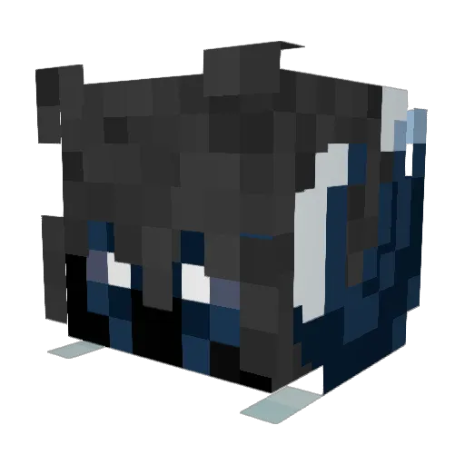 NiroNavaR3 Minecraft avatar head, 3D render