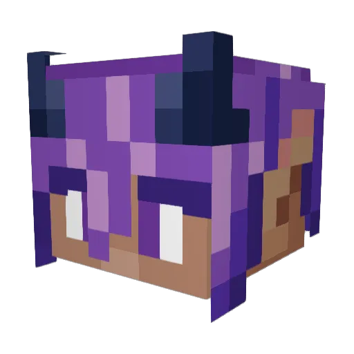 Nirovt Minecraft avatar head, 3D render