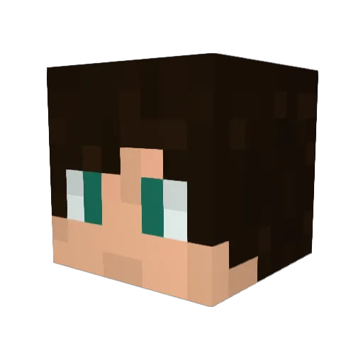 Nirsus Minecraft avatar head, 3D render