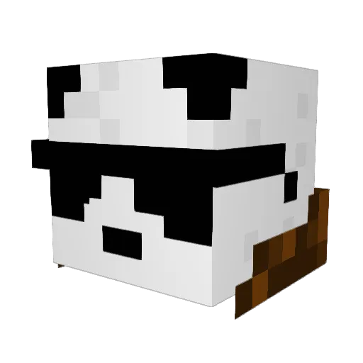 Niruma57 Minecraft avatar head, 3D render