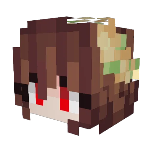 Nirvana_star Minecraft avatar head, 3D render