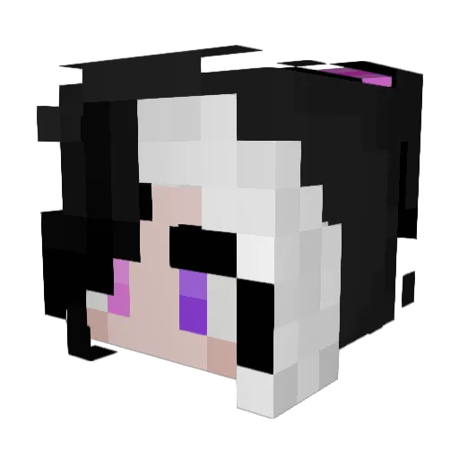 NirvixT Minecraft avatar head, 3D render