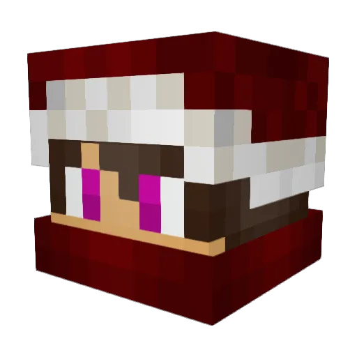 NisHkuru Minecraft avatar head, 3D render
