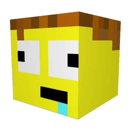 Nisahesa Minecraft avatar head, 3D render