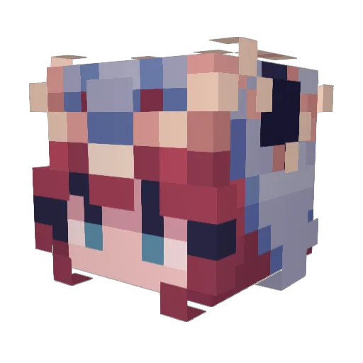 Niser Minecraft avatar head, 3D render
