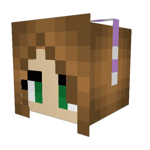 NishNosh2406 Minecraft avatar head, 3D render