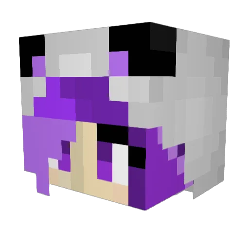 Nishi9 Minecraft avatar head, 3D render