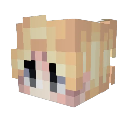 NishiZenitsu Minecraft avatar head, 3D render