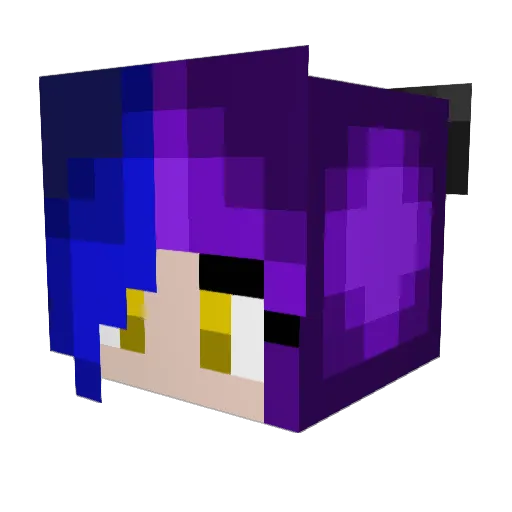 Nisi_00 Minecraft avatar head, 3D render