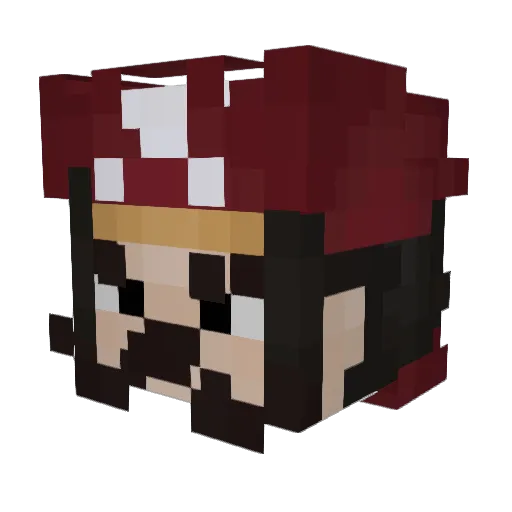 Nisle17 Minecraft avatar head, 3D render
