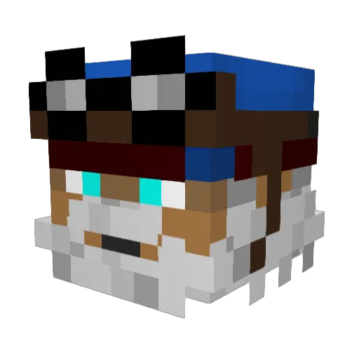 NisovinsIllusion Minecraft avatar head, 3D render