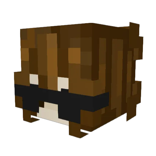 Nisquish Minecraft avatar head, 3D render