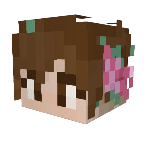 Niss1743 Minecraft avatar head, 3D render