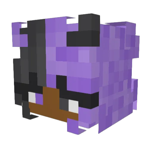 NissaCat Minecraft avatar head, 3D render