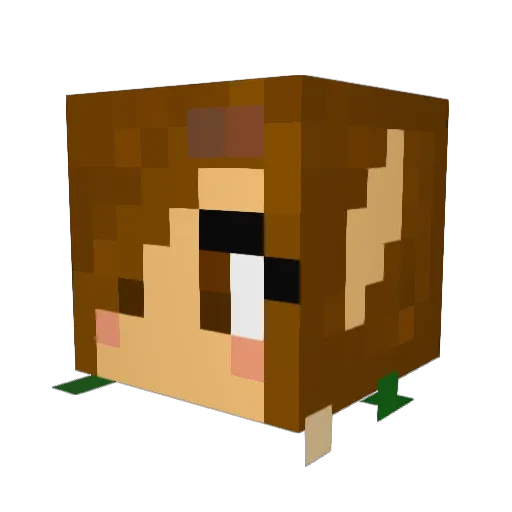 Nissa_Elf Minecraft avatar head, 3D render