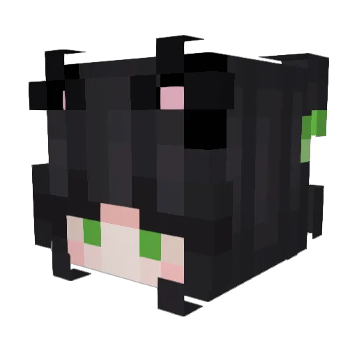 Nissaxknows Minecraft avatar head, 3D render