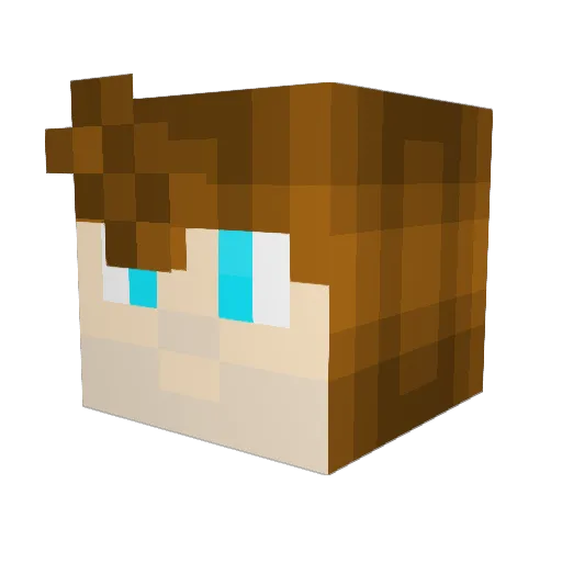 Nisse_16 Minecraft avatar head, 3D render