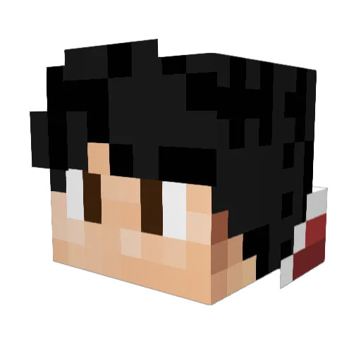 Nissh0ku Minecraft avatar head, 3D render