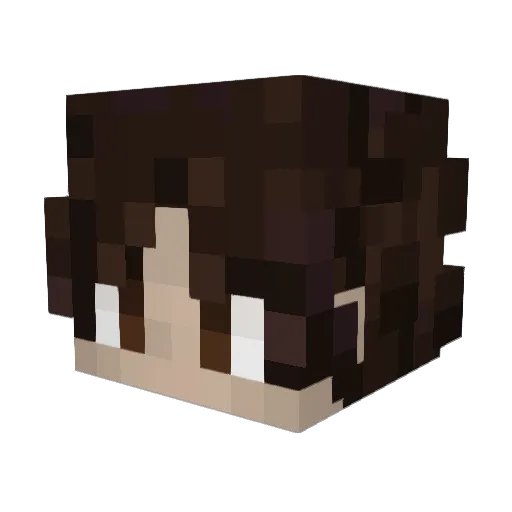 Nistricted Minecraft avatar head, 3D render