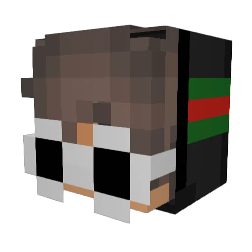 NitOfNitillion Minecraft avatar head, 3D render