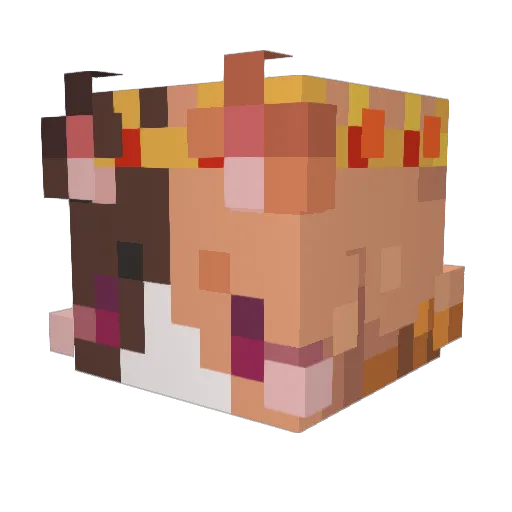 NitZune Minecraft avatar head, 3D render