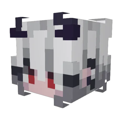 Nitcz Minecraft avatar head, 3D render