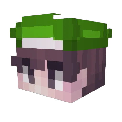 NiteGuardian Minecraft avatar head, 3D render