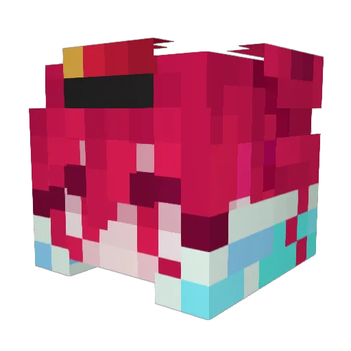 NiteMonster0401 Minecraft avatar head, 3D render