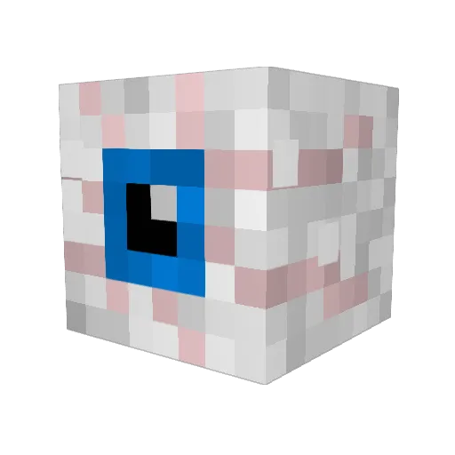 NiteRaider Minecraft avatar head, 3D render