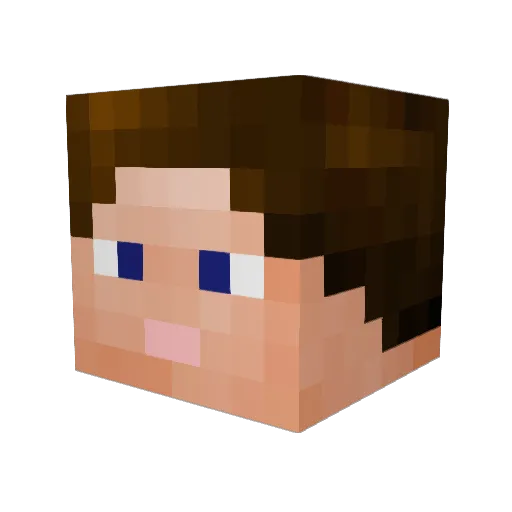 Nite_Rider3 Minecraft avatar head, 3D render