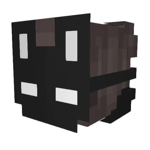 Nitearoonie Minecraft avatar head, 3D render
