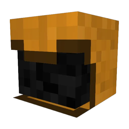 Nitecrwler25 Minecraft avatar head, 3D render