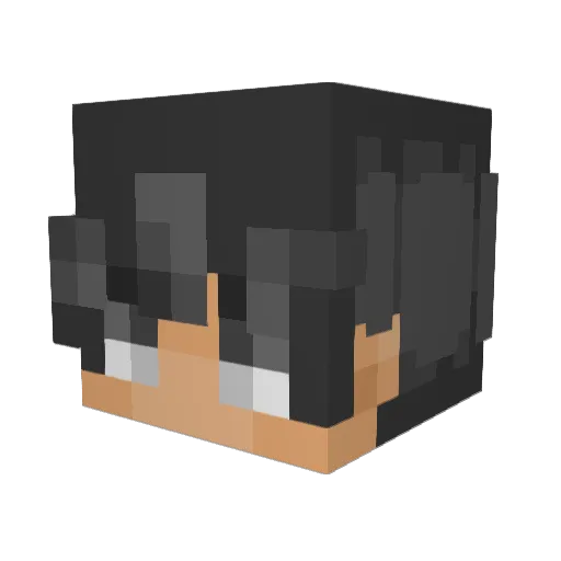 Niteh0wk Minecraft avatar head, 3D render