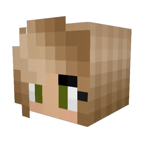 Nitelax05 Minecraft avatar head, 3D render