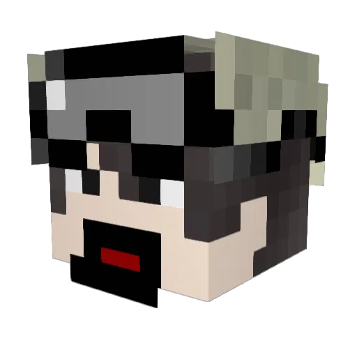 Nither_Mange Minecraft avatar head, 3D render