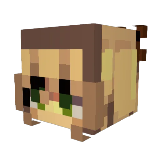 Nitiki_ Minecraft avatar head, 3D render