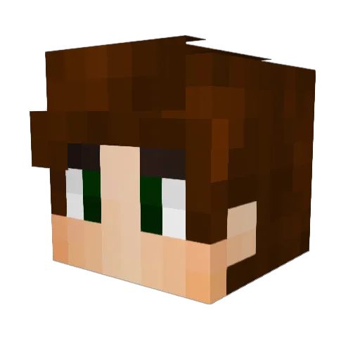 Nitoid Minecraft avatar head, 3D render