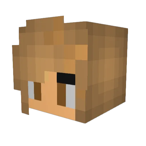 Nitr0Alpha Minecraft avatar head, 3D render